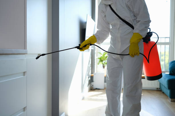 Best Emergency Mold Removal  in USA